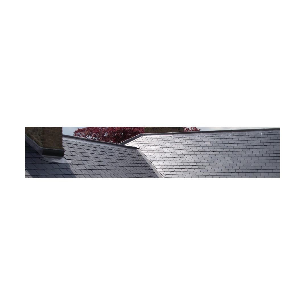 Proctor Roofing