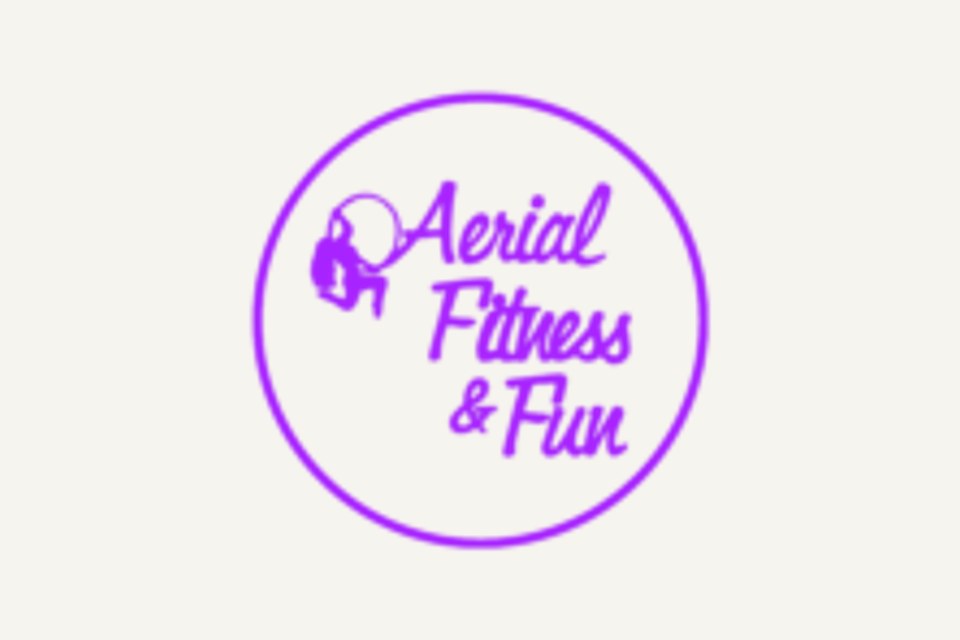 Aerial Fitness and Fun