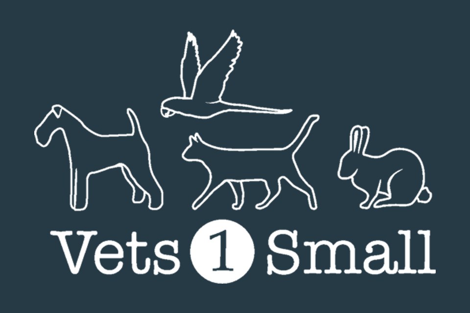 Vets One King's Lynn